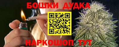 a pvp Славгород