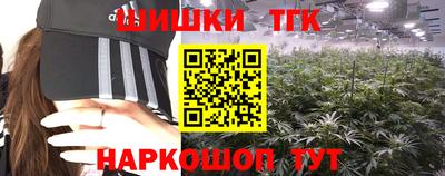 a pvp Славгород