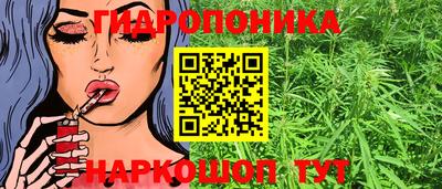 a pvp Славгород