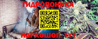 a pvp Славгород