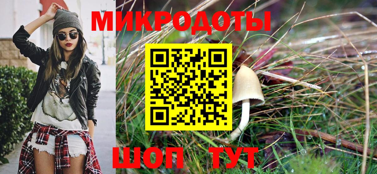 купить наркоту  Псилоцибиновые грибы прущие грибы  Вход с VPN  Алатырь  Галлюциногенные грибы мицелий 